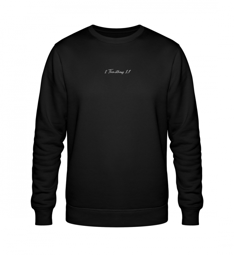 Sweater Timotheus - Roller Sweatshirt ST/ST mit Stick-16